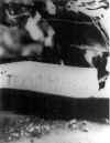 18dec42d.jpg (20094 bytes)