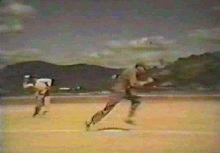 bball02.jpg (12112 bytes)