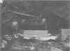 falsecape03.jpg (50393 bytes)