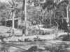 falsecape05.jpg (55905 bytes)