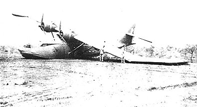 cat05.jpg (21794 bytes)