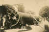fel102.jpg (27537 bytes)