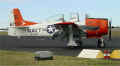 sh10.jpg (39509 bytes)