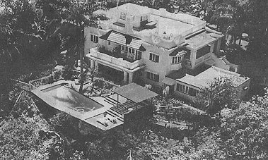 halcyon.jpg (37926 bytes)