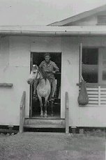 mc03.jpg (8423 bytes)