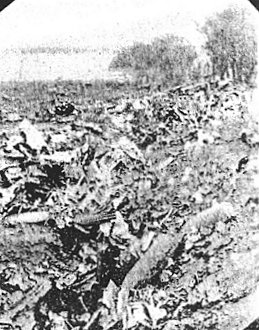 vic11-04.jpg (36653 bytes)