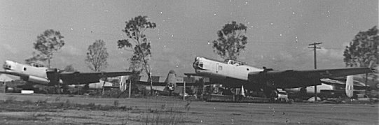 linc05.jpg (22239 bytes)