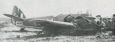 nsw22-01.jpg (26047 bytes)