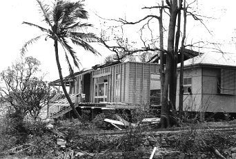 olm06.jpg (32470 bytes)