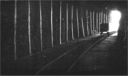 ct05.jpg (23419 bytes)