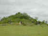 lo08.jpg (53575 bytes)