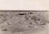 nt137a.jpg (76480 bytes)