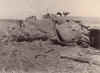 nt137c.jpg (73769 bytes)