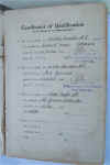 qld190-47.jpg (86057 bytes)
