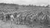hathorn12.jpg (186711 bytes)
