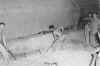 hathorn16.jpg (49852 bytes)