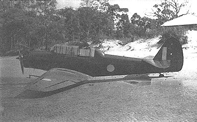 wack01.jpg (35049 bytes)